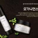프리메라(primera)