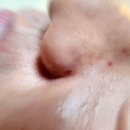 윤뷰티샵 | [내돈내산]편평사마귀, 쥐젖 제거 강서구 토탈 뷰티샵 윤뷰티 방문 후기