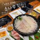 초원들 | 사하구 다대동 횟집 소나무회 후기 (모둠회 대자 양 미쳤던 다대포 로컬 맛집)