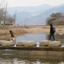 하천섬(주차장) 이미지