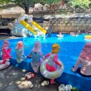 장덕농원 이미지