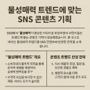 물성매력 트렌드에 맞는 SNS 콘텐츠 기획