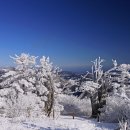 태백 태백산.. 올겨울 첫눈산행... 이미지