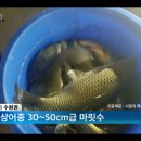 청춘실내낚시터 이미지