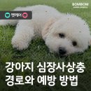 봄봄동물병원 네이버블로그