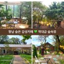 늘푸른소리 농장 | 향남 더포레 후기 l 비오는 날 화성 식물원 감성카페 숲속뷰에서 힐링
