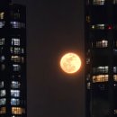 갤럭시당구장 | 울산 공무원 직장내괴롭힘 조사후기