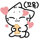 마포육고기상회 이미지