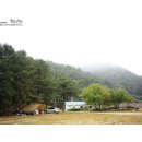 인제자연학교 캠핑장 이미지