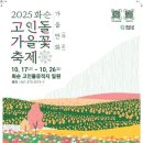 마이스정보사이트 - 화순 고인돌 가을꽃 축제 이미지