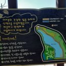 광교산 도토리
