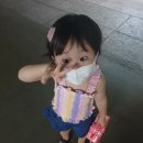 드림센스