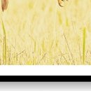 마음한방병원 이미지