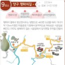 평화상회 이미지
