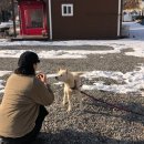 모나캠핑파크 하늘빛풍경 이미지