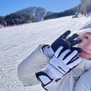 강원도 1박 2일 여행 :: 오션월드 스파, 용평 리조트 빌라 F동, 용평 스키장
