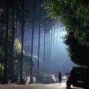 Strange World 이미지