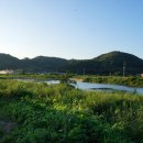 고성낙농영농조합법인 이미지