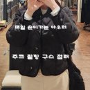 데일리 교복템 후기 주크 디테쳐블 카라 퀼팅 구스 점퍼 Z254PSG182