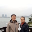 좌천상회 이미지