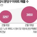 분당-245 이미지