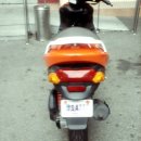 뉴메이저