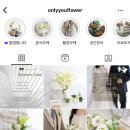 메리유플라워 이미지