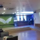 야누스 포켓볼 이미지