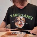 송혜지