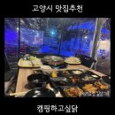 캠핑하고싶닭