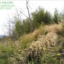 지내리경로당 이미지