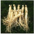 농협수삼랜드 - 14705 | 농협수삼랜드