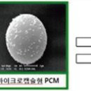 엘케이에스 이미지