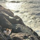 케어: 화양연화 | 2026.1 ; 마지막 전국구 출장이길 바라며 ㅁ7ㅁ8..