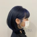 아라헤어 이미지