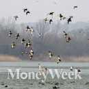 동림축산 이미지