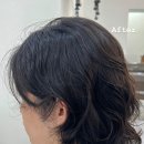 살롱드레브 네이버블로그