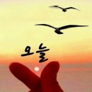 (주)이야기