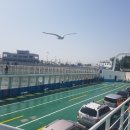 한림해운