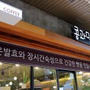 콩과밀 이미지