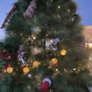 에잇세컨즈 부산광복점 | 포동포동 남포동 트리 축제