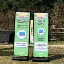 서울바베큐 | 2025 서울 바베큐 페스타 후기