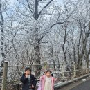 자연의모든것 | 서울근교 가족여행 용인자연휴양림 밤티골 숙박 후기