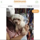 문경가축병원 이미지