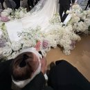 상권축사 | 메종디탈리 하객 후기 | 아기랑(이유식,수유실,기저귀갈이대) • 식사 • 주차 • ATM기