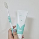 민트부부치과 네이버블로그
