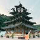금강정화 - 521 | 보은 속리산 법주사 템플스테이 후기 팔상전 쌍사자 석등 금강문 대웅보전