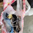 정성세탁소 | 치앙마이 세탁소망고 T 빌라 리조트 근처 빨래방 추천 가격 위치 영업시간 후기