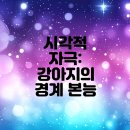 영통동물병원 | 영통동물병원에서 알아보는 강아지 창문 짖음의 비밀!