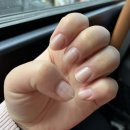 손톱관리소 네이버블로그